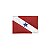 Bordado Termocolante Bandeira Pará - Imagem 1