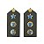 Platina de Ombro Tenente Coronel - Imagem 1