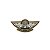 Bordado Termocolante Airborne com Asa - Imagem 1