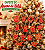 Kit 15 Enfeites de Natal - Varias Cores – Pingentes para Árvore de Natal - Imagem 1