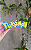 Pokemon Letreiro 3D Decorativo - Imagem 2