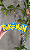 Pokemon Letreiro 3D Decorativo - Imagem 3