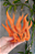 Diorama Naruto Kurama - Action Figure Kyuubi - Raposa de nove caudas - Naruto Kitsune Colecionável - Imagem 6