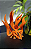 Diorama Naruto Kurama - Action Figure Kyuubi - Raposa de nove caudas - Naruto Kitsune Colecionável - Imagem 2
