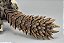 Action Figure Zinogre Monster Hunter - S.H.MonsterArts Bandai - Imagem 10