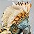 Action Figure Zinogre Monster Hunter - S.H.MonsterArts Bandai - Imagem 7