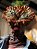 Clicker Estaladores 30cm - The Last Of Us - Collectible Edition - Imagem 2