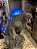 Estátua Diorama Godzilla 50Cm Com LED's - GK Gojira - Imagem 7