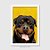 Quadro Rottweiler Retrato Fundo Amarelo - Imagem 2