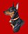 Camiseta Pinscher - Imagem 6