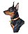 Camiseta Pinscher - Imagem 8