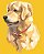 Camiseta Baby Look Golden Retriever - Imagem 6