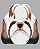 Camiseta Baby Look Shih Tzu - Imagem 6