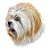 Camiseta Lhasa Apso - Imagem 2