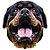 Camiseta Baby Look Rottweiler - Imagem 4