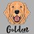 Camiseta Cachorro Golden - Imagem 6