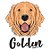 Camiseta Cachorro Golden - Imagem 4