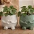 Cachepot Decorativo - Imagem 2