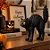 Gato Preto Assustado de Halloween - Imagem 1