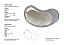 Tapete de couro Orgânico MODEL BEAM - Imagem 2