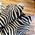 Tapete e couro Zebra Serigrafado 2,05x2,40 - Imagem 6