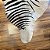 Tapete e couro Zebra Serigrafado 2,05x2,40 - Imagem 3