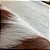 Tapete de couro Marrom Malhada G 2,05x2,40 - Imagem 4