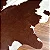 Tapete de couro Bovino HereFord G 2,10x2,50 - Imagem 3