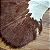 Tapete de couro Bovino HereFord G 2,10x2,50 - Imagem 4