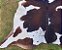 Tapete de couro Bovino G 2,20x2,00 Premium - Imagem 4