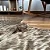 Tapete de couro Premium GG 2,10x2,55- Nobre couros - Imagem 3