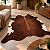 Tapete de couro HereFord 2,20x2,40- Nobre couros - Imagem 1