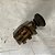 Botão Interruptor Pisca Alerta Vw Brasilia Original Preto - Imagem 4