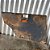 Forro De Porta Fiat Uno 1985/2004 Traseiro Direito Original - Imagem 4