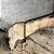 Paralama Direito Ford Ecosport 2004-2007 Detalhe - Imagem 10