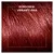 Kit Tintura Koleston Vermelho Borgonha Vibrante 4446 - Imagem 2