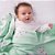 Cobertor Bebê Microfibra Verde Ursinho 1,10 X 85 Papi - Imagem 4