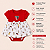 Body Vestido Bebê São Paulo Mascote Oficial - Imagem 2