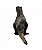 Pelúcia Dinossauro Realista Marrom Tiranossauro Rex 22.5cm - Imagem 3
