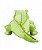 Pelúcia Crocodilo Verde 35 cm - Imagem 4