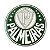Broche Redondo Palmeiras 4cm - Imagem 1