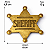 Distintivo Xerife Metal Broche Dourado P/Fantasia Policial - Imagem 4