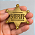 Distintivo Xerife Metal Broche Dourado P/Fantasia Policial - Imagem 3