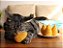 Coxinha de Catnip - Imagem 4