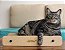Arranhador de Papelão para Gatos | Modelo Compacto - Imagem 6