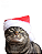 Gorrinho de natal | Para Gatos - Imagem 1