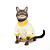 Moletom Listrado - Imagem 1
