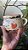 Caneca Café e Cartas - Imagem 3