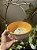 Tigela/ Bowl Gatinho no amarelo - Imagem 3