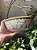 Tigela/ Bowl Gatinho no amarelo - Imagem 5